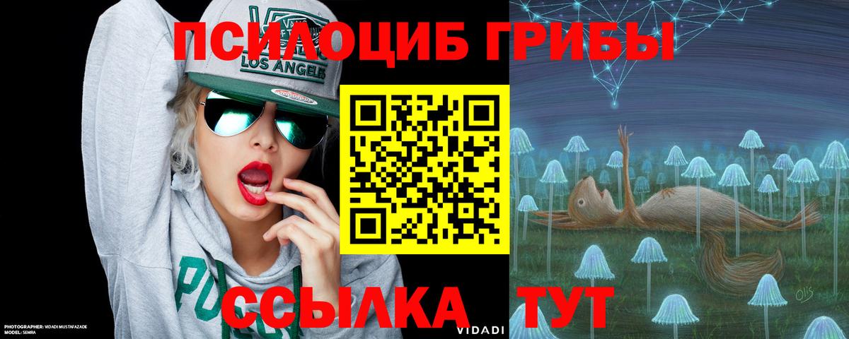 Псилоцибиновые грибы Psilocybe Лангепас